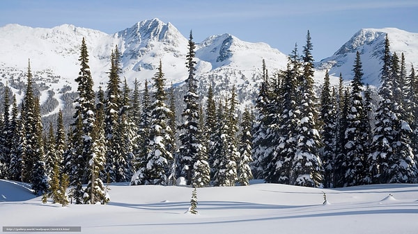 1. 30 человек будут находиться под прицелами 2 тыс. камер в течение 9 месяцев