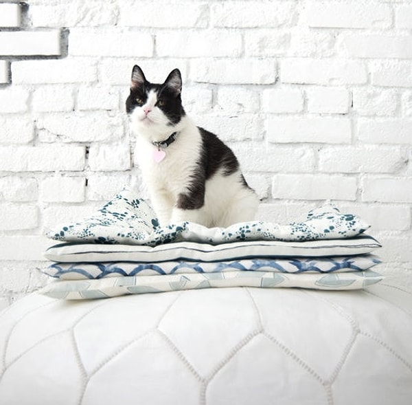 5. Необычная постель для домашнего животного