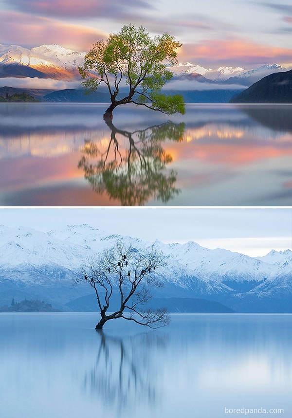 6. Wanaka Gölü, Yeni Zelanda