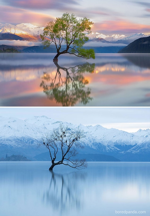 6. Wanaka Gölü, Yeni Zelanda
