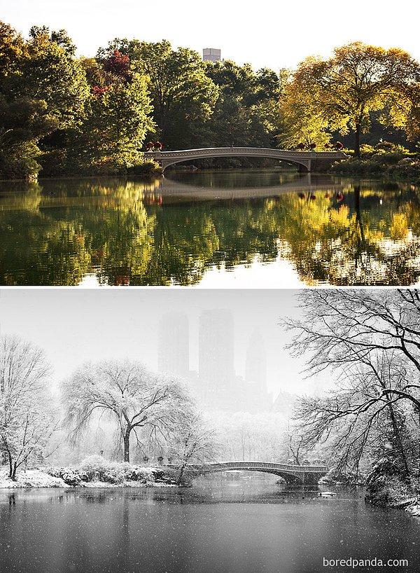 17. Central Park, New York, ABD