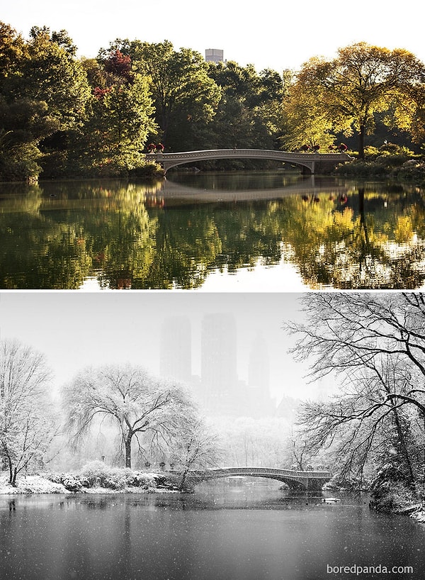 17. Central Park, New York, ABD