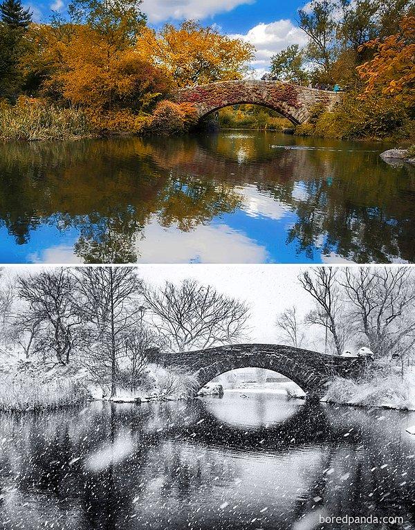 26. Central Park, New York, ABD