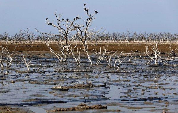 2. Arjantina ve Paraguay'ı birbirinden ayıran Pilcomayo Nehri son 20 yılın en kötü kuraklığı ile karşı karşıya.
