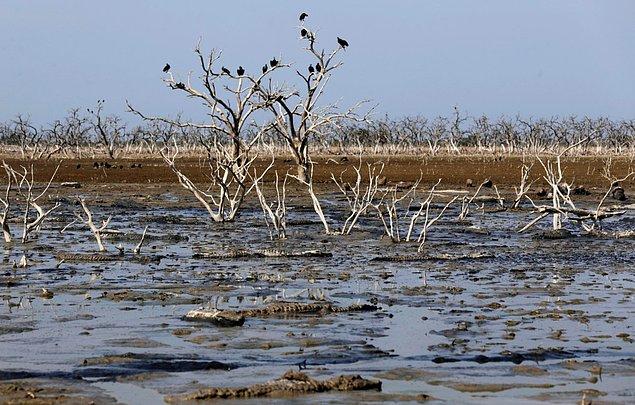 2. Arjantina ve Paraguay'ı birbirinden ayıran Pilcomayo Nehri son 20 yılın en kötü kuraklığı ile karşı karşıya.