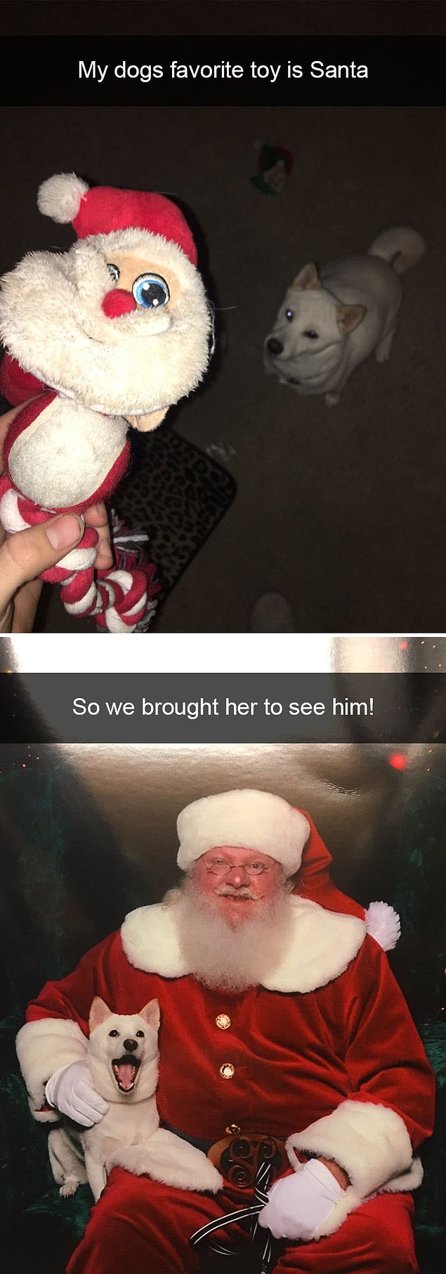 7.