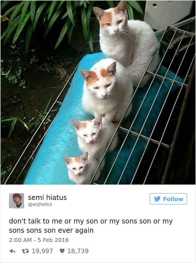 11.