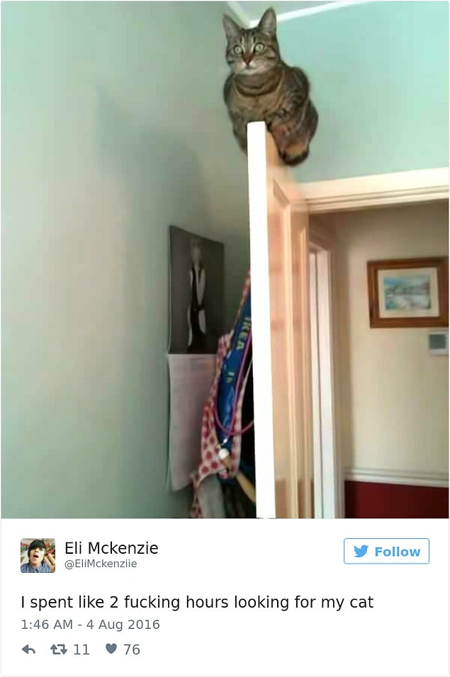 14.