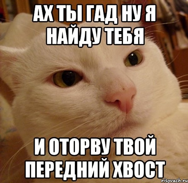 8. А "гад" откуда пошло, по-вашему?