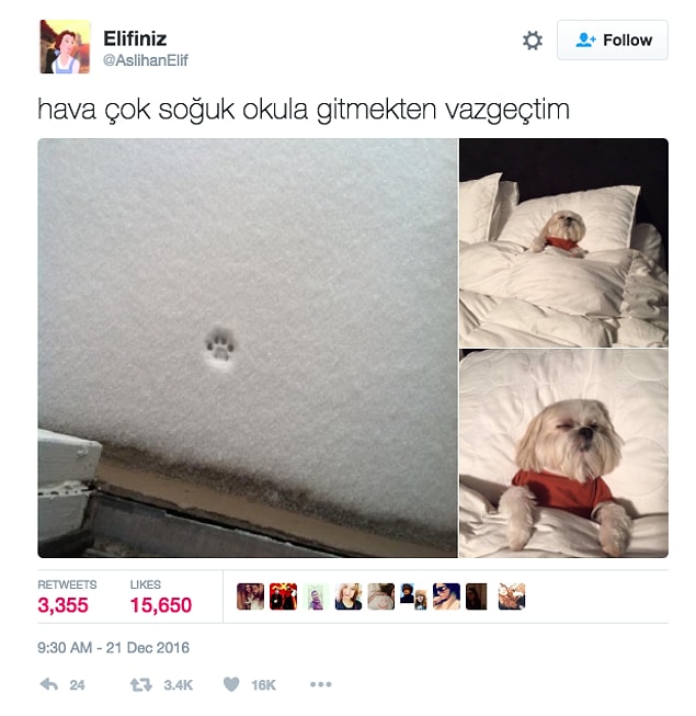 11.