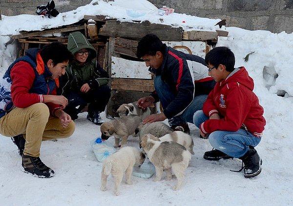 14. Kars'taki bu gençler, yeni doğum yapan bir köpeğin yavrularına bakabilmek için harçlıklarını biriktirmişler ve bu miniklere kulübe yapmışlar.