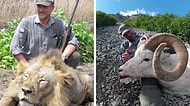 Aslan Avlamasıyla Tartışma Yaratan İtalyan Veteriner Çıktığı Kuş Avında Hayatını Kaybetti