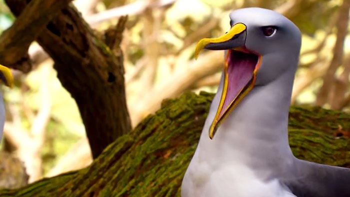 Belgesellerdeki Hayvanlar İnsanlar Gibi Çığlık Atarsa Nasıl Olur?