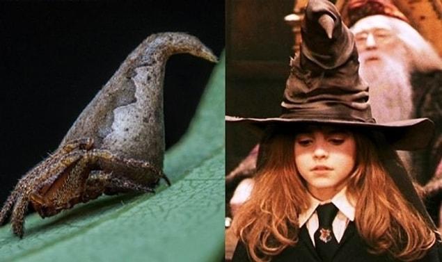 We are sure Harry Potter fans will see the similarity.
