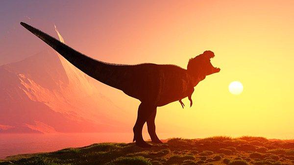 30. Dinozorların soyunun Dünya'ya çarpan bir meteor neticesinde değil, is ve duman yüzünden tükendiği düşünüldü.