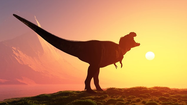 30. Dinozorların soyunun Dünya'ya çarpan bir meteor neticesinde değil, is ve duman yüzünden tükendiği düşünüldü.
