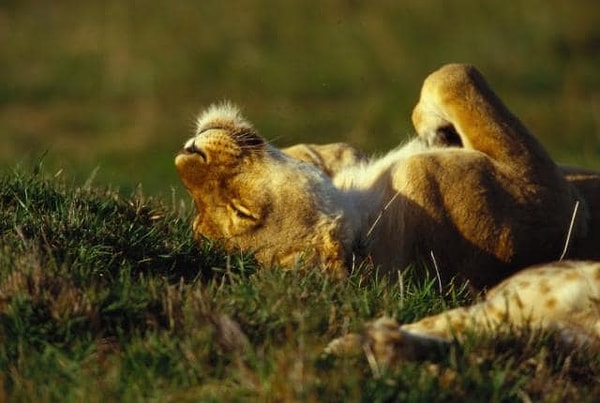 9. Время релакса