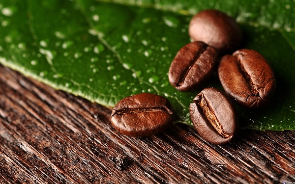 15. Кофе можно добывать практически где угодно