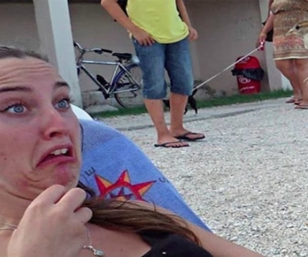 15. Сколько экспрессии в этом выражении лица 😆