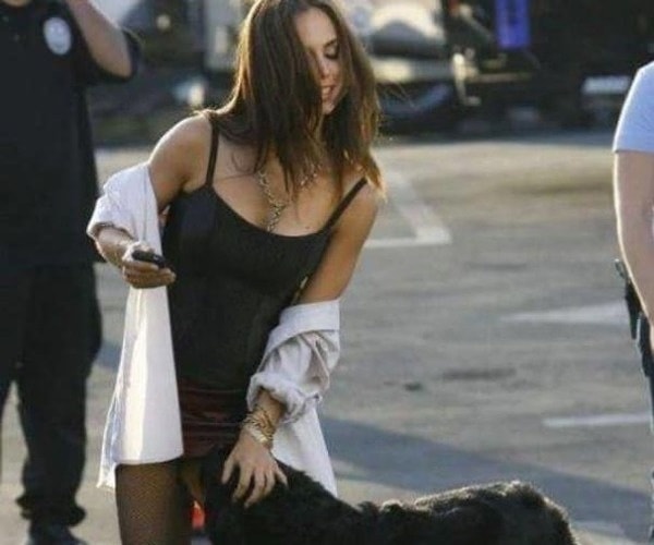 17. Нет, любить собак, конечно, нужно, но чтобы настолько...