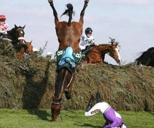 24. Бедная лошадка! Жокею тоже не позавидуешь
