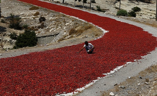 6. Сушка красного перца в Турции.