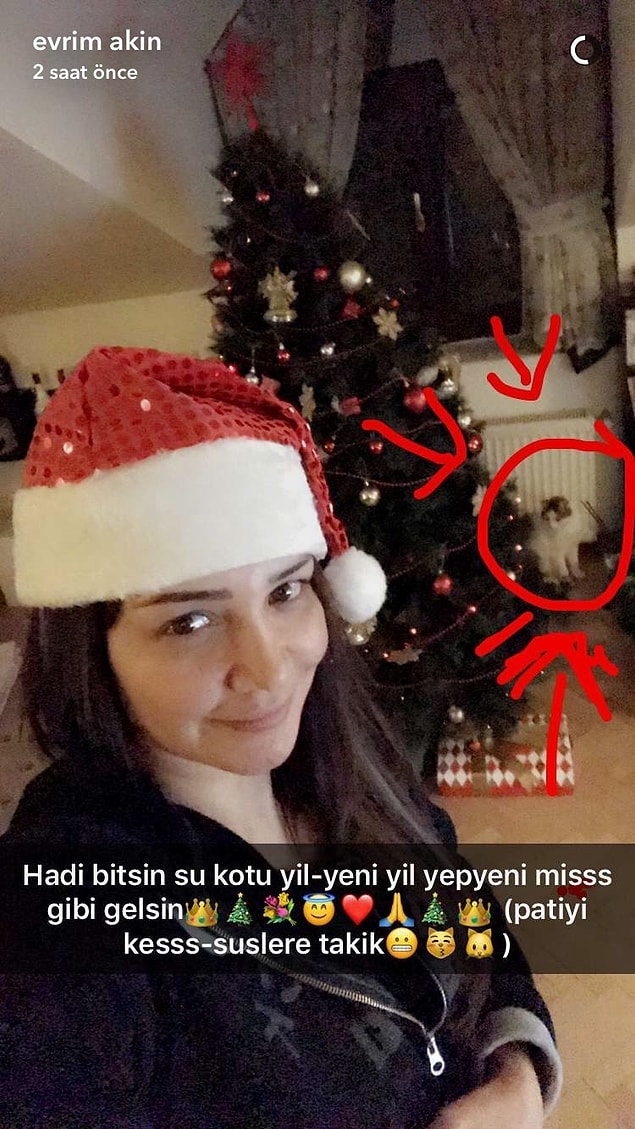 12. Evrim Akın