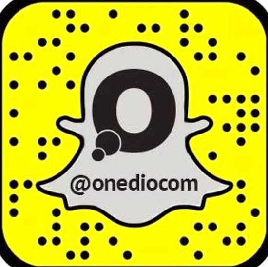2016'nın En İyi Onedio Snapleri