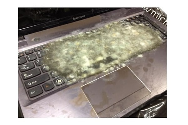 3. "Как вы считаете, может, стоит вытереть сок с клавиатуры?"