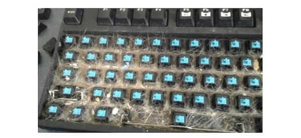 15. "Последнее время клавиши на клавиатуре не прожимаются. Даже не знаю почему"