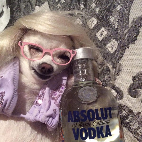 3. Ну, и зачем было столько пить? 🍶