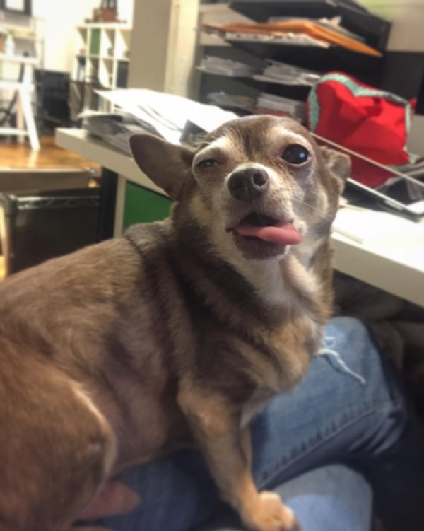 6. Еще одно фото утром с похмелья