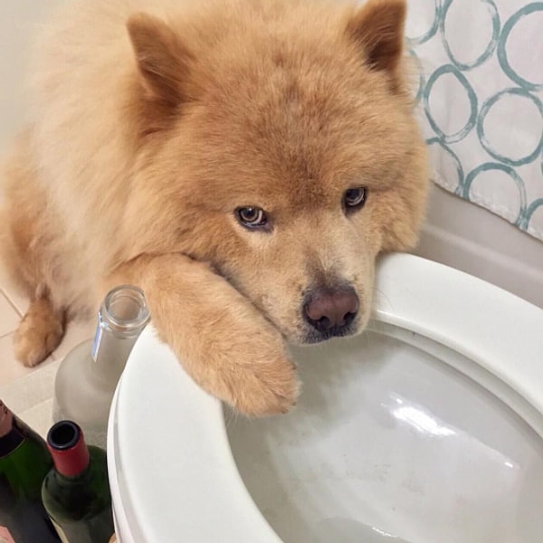 7. А это уже совсем плачевный вариант