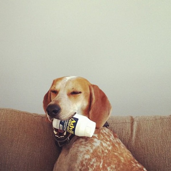 8. Те счастливчики, что не пили 31-го и готовы продолжать гулять