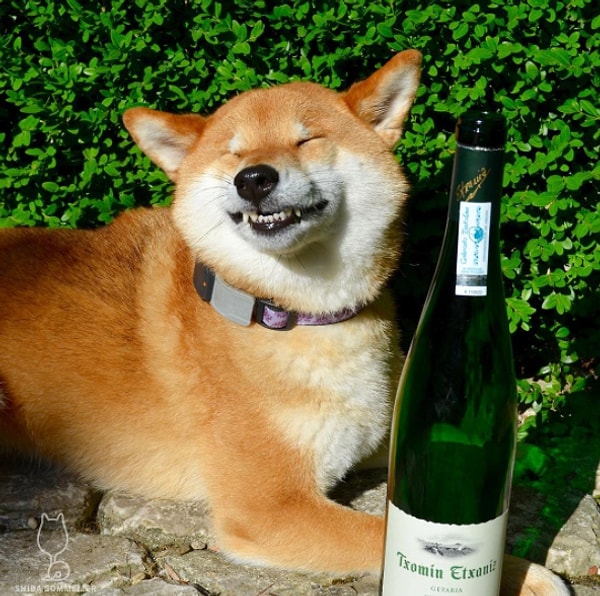 11. "Уберите это от меня, меня сейчас стошнит!"