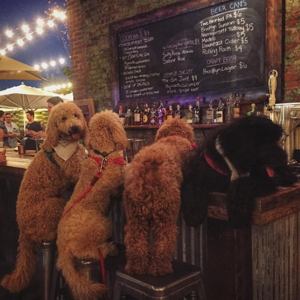 16. Вечер 2-го января...