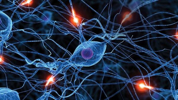 7. Harvard Üniversitesi - Nörolobilimin Temelleri Bölüm 1: Nöronların Elektriksel Özellikleri
