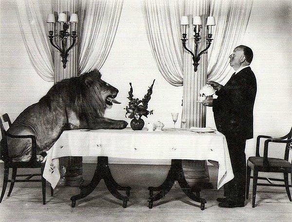 1. Alfred Hitchcock ve Leo the Lion Metro-Goldwyn-Mayer Stüdyoları'nda çay içerken.