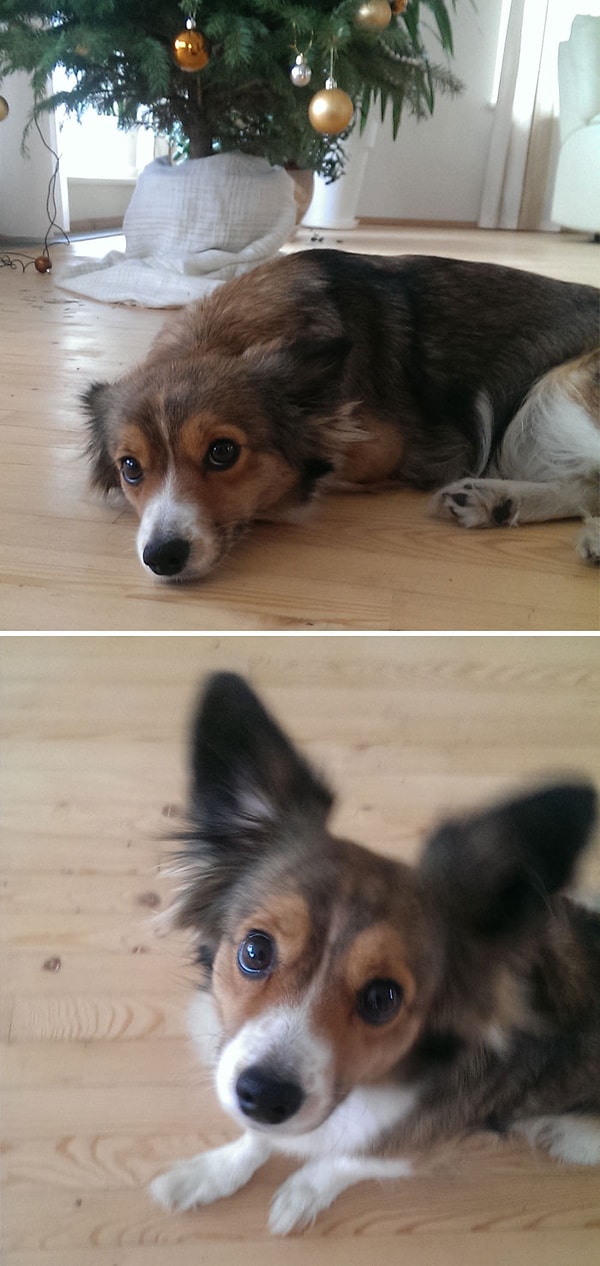 7. До и после того, как ее назвали хорошей девочкой