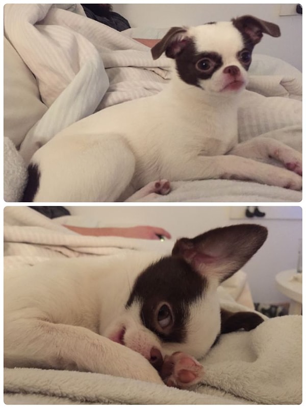 12. До и после того, как ее назвали хорошей девочкой