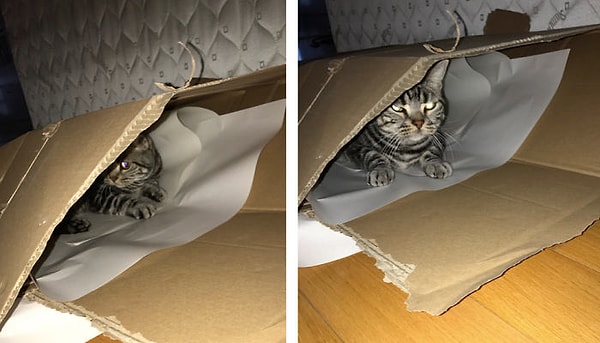 13. До и после того, как его назвали хорошим мальчиком