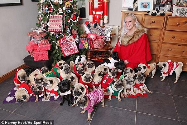 Becca, canından çok sevdiği 30 köpeğine en iyi şekilde bakabilmek için daha önce; işinden ayrıldı, pahalı markalı çantalarını, takılarını satmak zorunda kaldı.