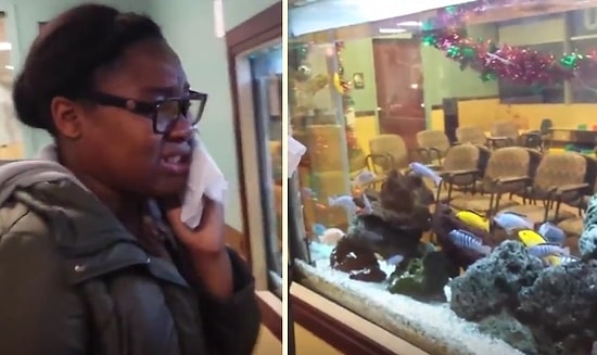 Balığının Boğulduğunu Düşünüp Hüngür Hüngür Ağlayan Kız