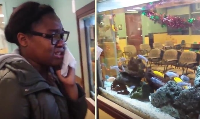 Balığının Boğulduğunu Düşünüp Hüngür Hüngür Ağlayan Kız