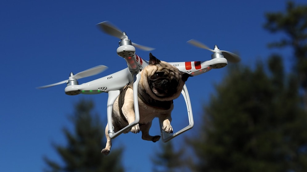 Drone'ların Her Tarafımızı Sardığı 2016 Yılında Yaşanan En İlginç Kazalar