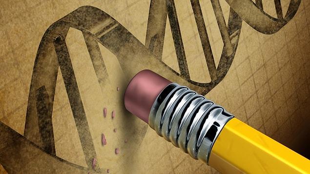 9. Worm DNA may unlock the secret to superhuman regenerative abilities.