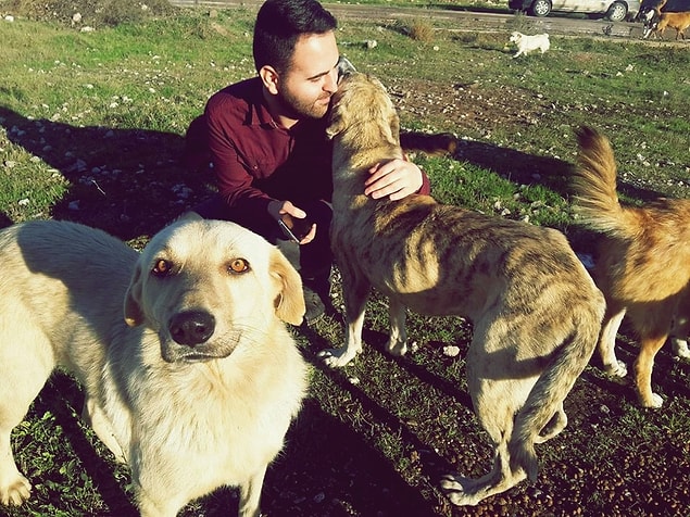 Sokak hayvanlarına neler verilebilir?