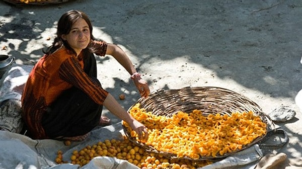 7. Летом они питаются сырыми фруктами и овощами, зимой — высушенными на солнце абрикосами и пророщенными зернами, а также овечьей брынзой