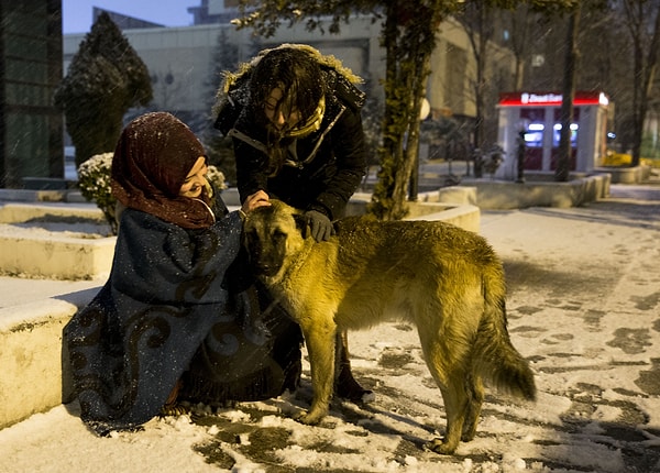 Şefkat bambaşka bir şey değil mi?