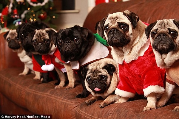 Недавно она даже приняла решение уволиться с работы, чтобы проводить с ними больше времени.